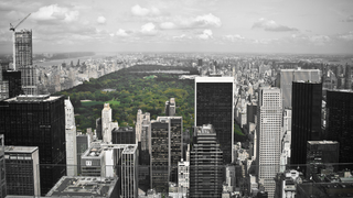 How Should We Design Cities to Make the Most of Urban Ecosystems?
